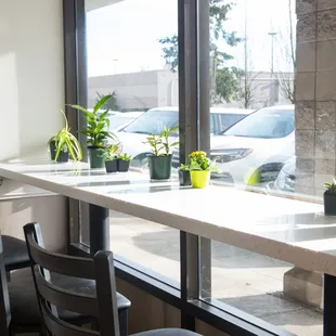 a long table with plants on it