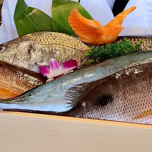 Fish from japan