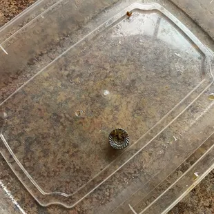 DO NOT ORDER FROM HERE