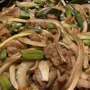 Mongolian Beef