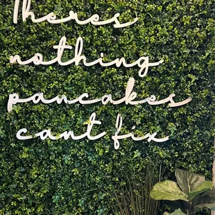 Instagram Wall