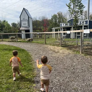 The cutest little farm area with animals