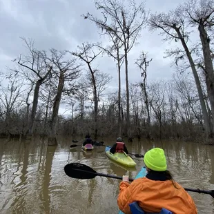 Kayaking through the swamp!