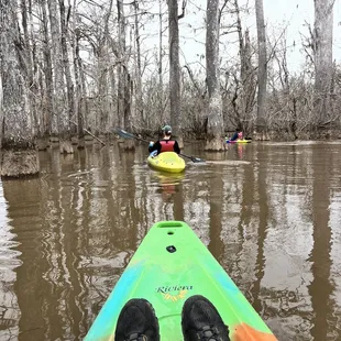 Kayak
