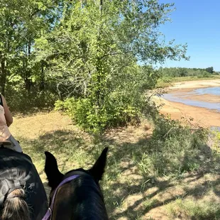 Amazing views of the river