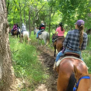 Guided Trail Rides at Honey Lee Ranch