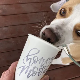 Benny loves the lattes