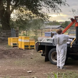 Owner Jennifer West helping out with the bees.