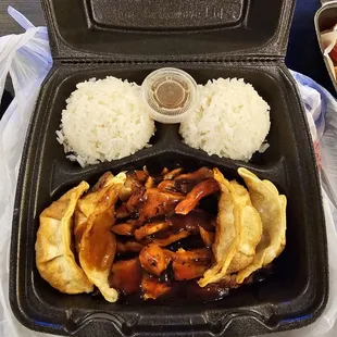 Chicken teriyaki + gyoza