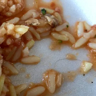 I just ate a chicken kabab dinner with rice pilaf and veggies.  It was bad enough that the chicken was flavorless, but then a cook's hair!!!