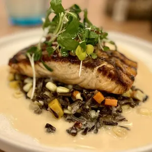 Citrus Glazed Salmon