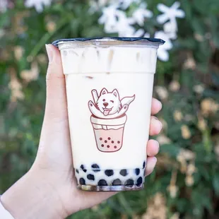 Jasmine Milk Tea