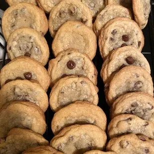 Chocolate chip cookies