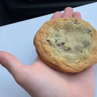 a hand holding a chocolate chip cookie
