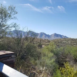 View from the parking lot