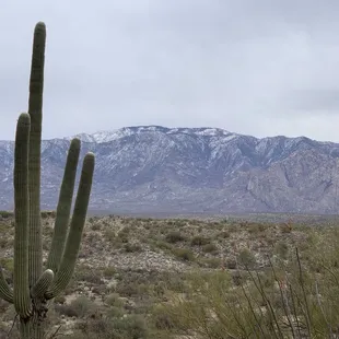 I stopped to get a picture of snow in june.