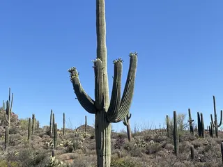 El Camino Del Cerro Trailhead