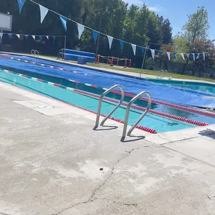 Great day for a swim