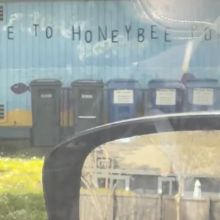 Had a beautiful swim today