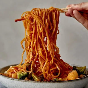 Spicy Garlic Stir-fry