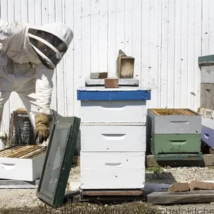 Beekeeper Isaac Barnes works in our beehives.