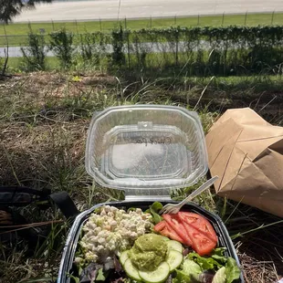 Picnic at Botanical Gardens/airport: Green Goddess Chickpea Salad Plate