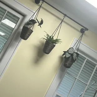 Another awesome plant holder.