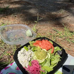 Picnic at Botanical Gardens: Green Goddess Chicken Salad Plate