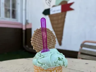 Voga Italian Gelato