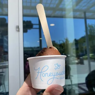 No dairy chocolate flavor