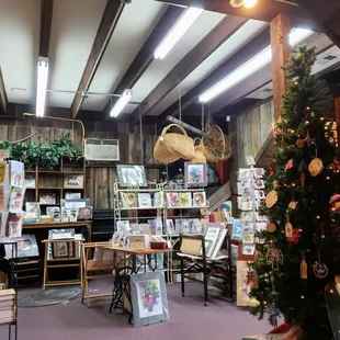 Inside Honeysuckle Vine