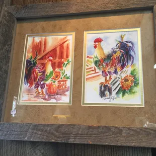 look at these vibrant colors