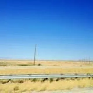 Darapuneni M.