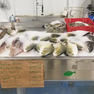 a display of fish for sale