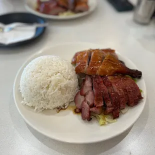 a plate of food with rice and meat