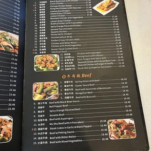 Hong Kong BBQ Restaurant Menu, Castro Valley, CA.