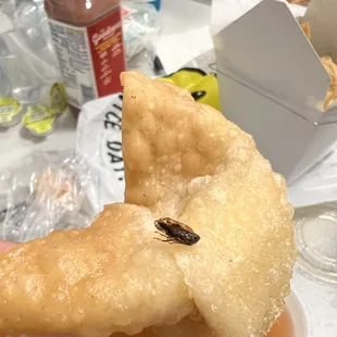 a hand holding a fried food item