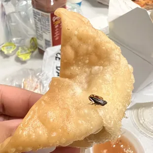 a hand holding a piece of food