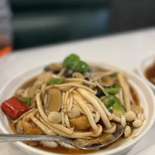 Vegetarian dish:  Egg tofu with 3 kinds of mushrooms.  Good