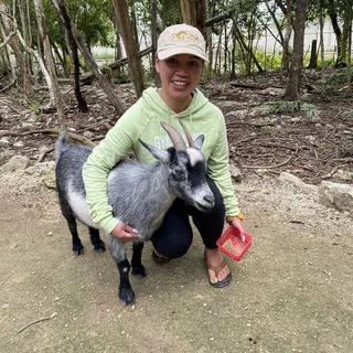 Krista L.