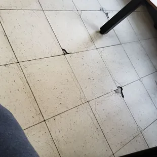 Floor