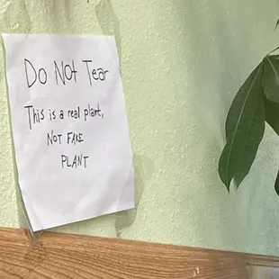don't tear this is a real park not eat plant