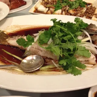 Steamed Striped Bass