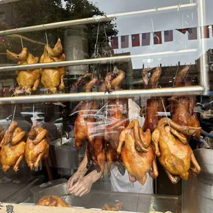 chickens hanging in a window