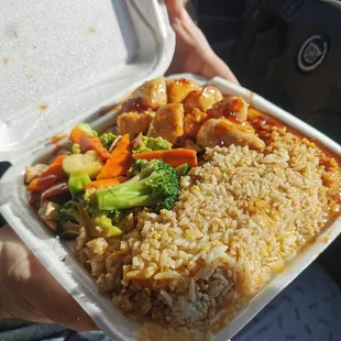 a person holding a take out container of food