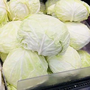 Gigantic head of cabbage