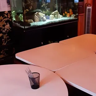 a fish tank in the background