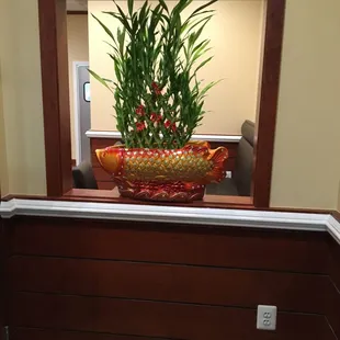 a plant in a decorative bowl