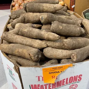 Jamaican yam