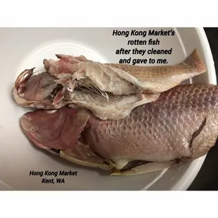 Rotten Fish from Hong Kong Market (Kent, WA)